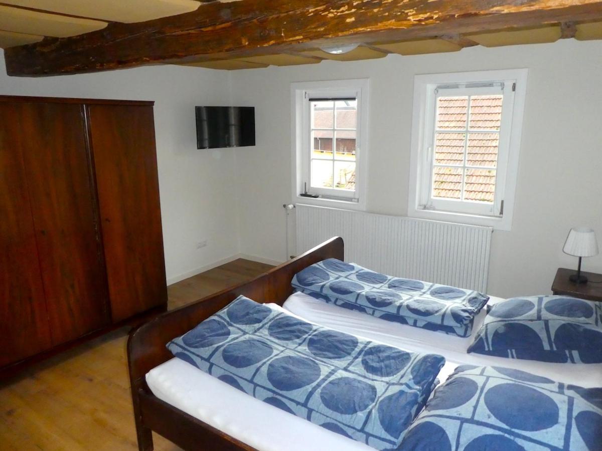 Alte Schreinerei Apartment Lutzelbach
